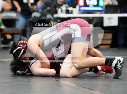 Thumbnail 1 in Cougar Classic photogallery.
