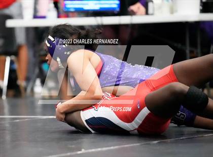 Thumbnail 2 in Cougar Classic photogallery.