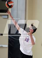 Photo from the gallery "Hillsdale @ San Mateo"