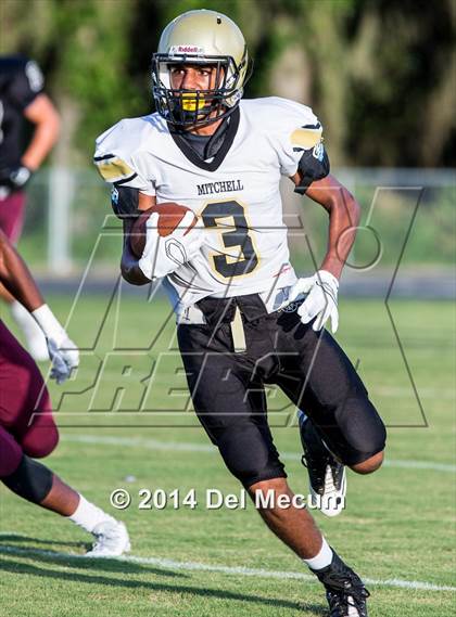 Thumbnail 3 in Mitchell @ Wiregrass Ranch photogallery.