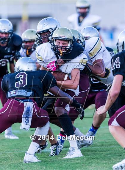 Thumbnail 3 in Mitchell @ Wiregrass Ranch photogallery.