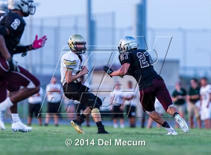 Thumbnail 1 in Mitchell @ Wiregrass Ranch photogallery.