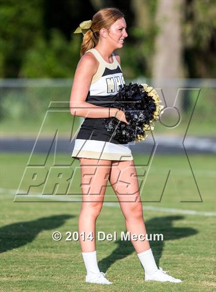 Thumbnail 3 in Mitchell @ Wiregrass Ranch photogallery.
