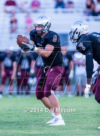 Thumbnail 2 in Mitchell @ Wiregrass Ranch photogallery.