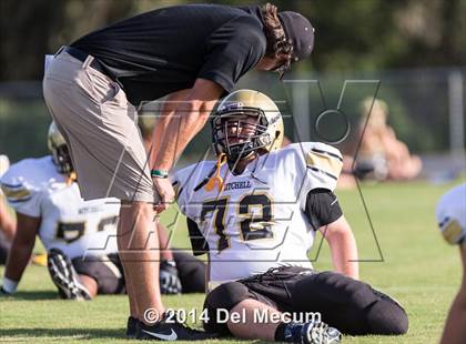 Thumbnail 2 in Mitchell @ Wiregrass Ranch photogallery.