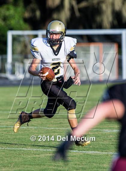 Thumbnail 1 in Mitchell @ Wiregrass Ranch photogallery.