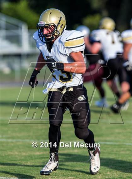 Thumbnail 3 in Mitchell @ Wiregrass Ranch photogallery.