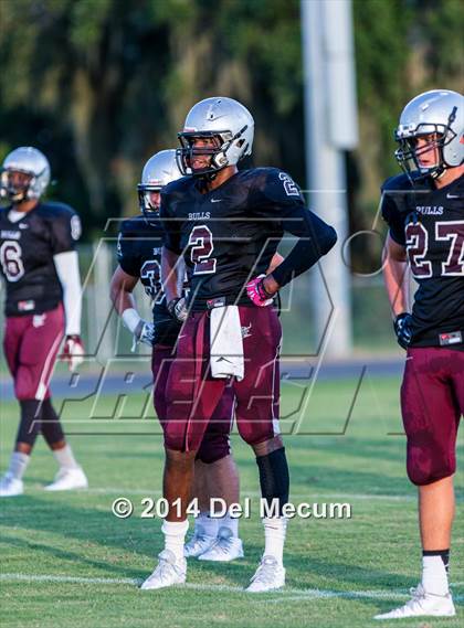 Thumbnail 3 in Mitchell @ Wiregrass Ranch photogallery.
