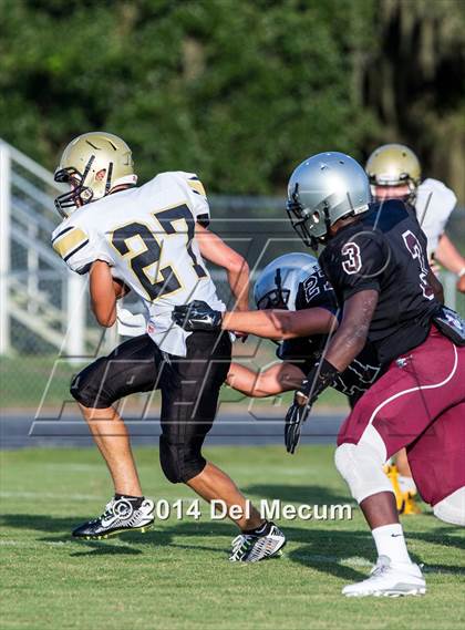 Thumbnail 1 in Mitchell @ Wiregrass Ranch photogallery.