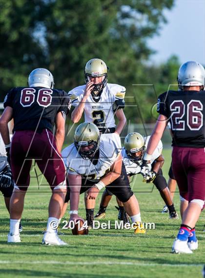 Thumbnail 3 in Mitchell @ Wiregrass Ranch photogallery.