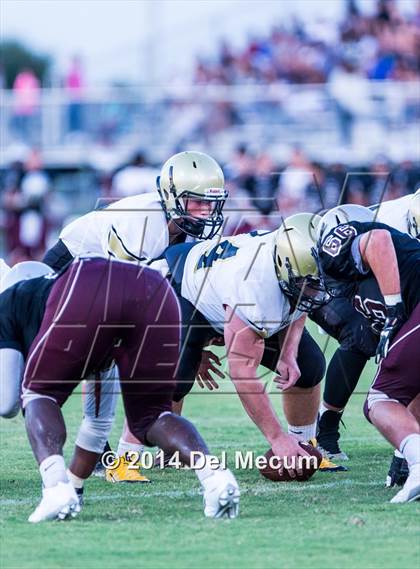 Thumbnail 3 in Mitchell @ Wiregrass Ranch photogallery.