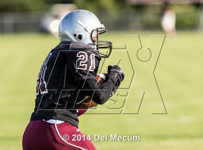Thumbnail 2 in Mitchell @ Wiregrass Ranch photogallery.