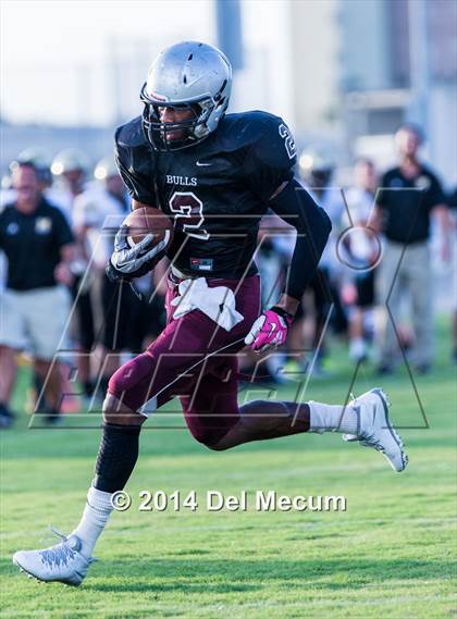 Thumbnail 1 in Mitchell @ Wiregrass Ranch photogallery.