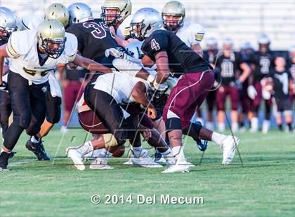 Thumbnail 3 in Mitchell @ Wiregrass Ranch photogallery.