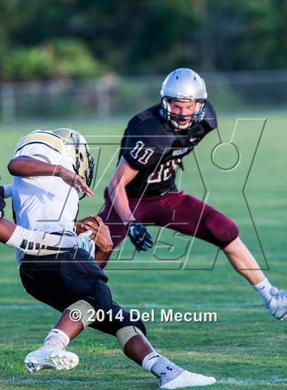 Thumbnail 1 in Mitchell @ Wiregrass Ranch photogallery.
