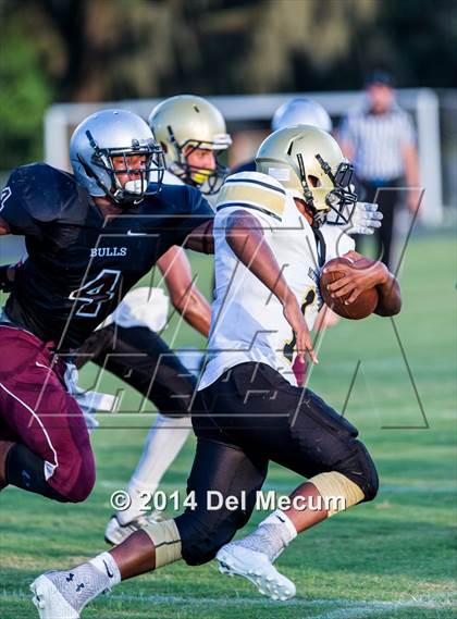 Thumbnail 3 in Mitchell @ Wiregrass Ranch photogallery.