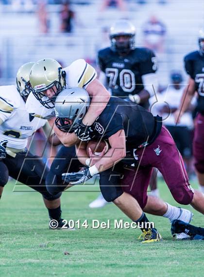 Thumbnail 1 in Mitchell @ Wiregrass Ranch photogallery.
