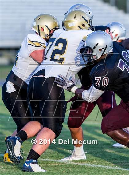 Thumbnail 3 in Mitchell @ Wiregrass Ranch photogallery.