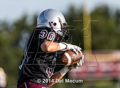 Thumbnail 2 in Mitchell @ Wiregrass Ranch photogallery.