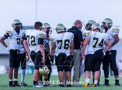 Thumbnail 3 in Mitchell @ Wiregrass Ranch photogallery.