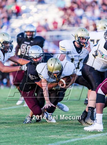 Thumbnail 1 in Mitchell @ Wiregrass Ranch photogallery.
