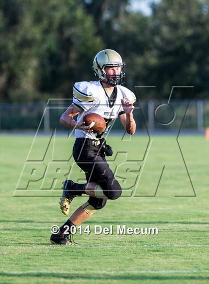Thumbnail 1 in Mitchell @ Wiregrass Ranch photogallery.