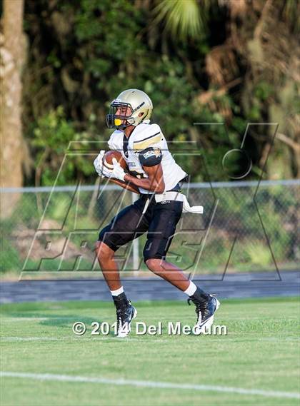 Thumbnail 1 in Mitchell @ Wiregrass Ranch photogallery.