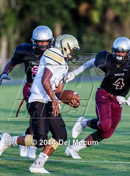 Thumbnail 2 in Mitchell @ Wiregrass Ranch photogallery.