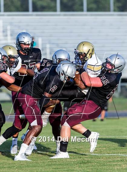 Thumbnail 2 in Mitchell @ Wiregrass Ranch photogallery.