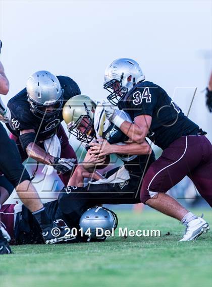Thumbnail 2 in Mitchell @ Wiregrass Ranch photogallery.