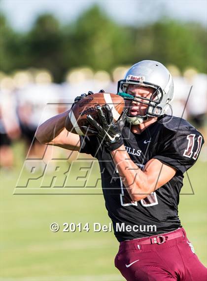 Thumbnail 2 in Mitchell @ Wiregrass Ranch photogallery.