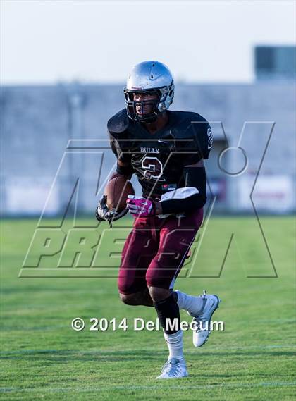 Thumbnail 1 in Mitchell @ Wiregrass Ranch photogallery.