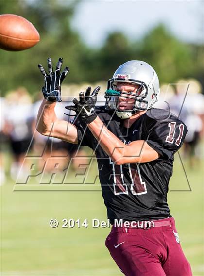 Thumbnail 1 in Mitchell @ Wiregrass Ranch photogallery.
