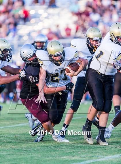 Thumbnail 2 in Mitchell @ Wiregrass Ranch photogallery.