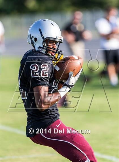 Thumbnail 2 in Mitchell @ Wiregrass Ranch photogallery.