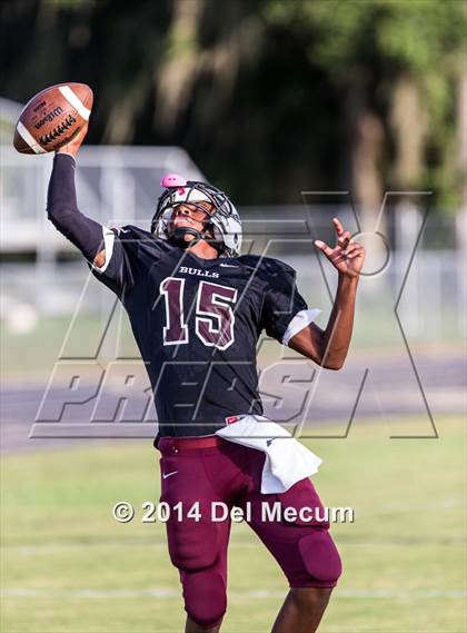 Thumbnail 2 in Mitchell @ Wiregrass Ranch photogallery.