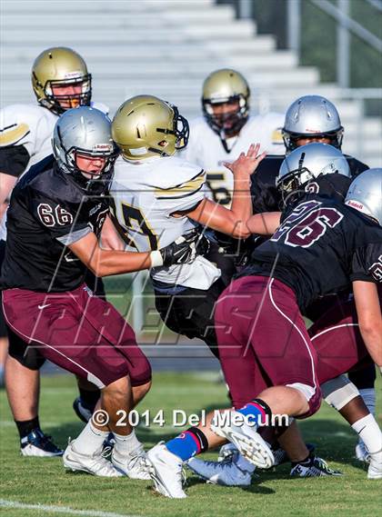 Thumbnail 3 in Mitchell @ Wiregrass Ranch photogallery.