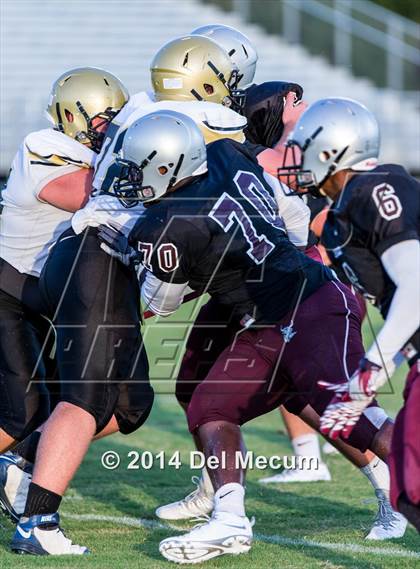 Thumbnail 1 in Mitchell @ Wiregrass Ranch photogallery.