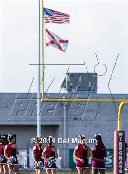 Thumbnail 2 in Mitchell @ Wiregrass Ranch photogallery.