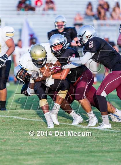 Thumbnail 3 in Mitchell @ Wiregrass Ranch photogallery.