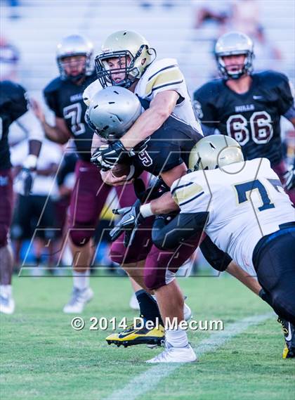Thumbnail 3 in Mitchell @ Wiregrass Ranch photogallery.