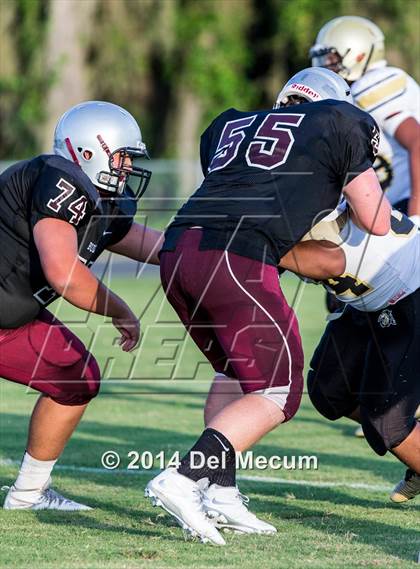 Thumbnail 3 in Mitchell @ Wiregrass Ranch photogallery.
