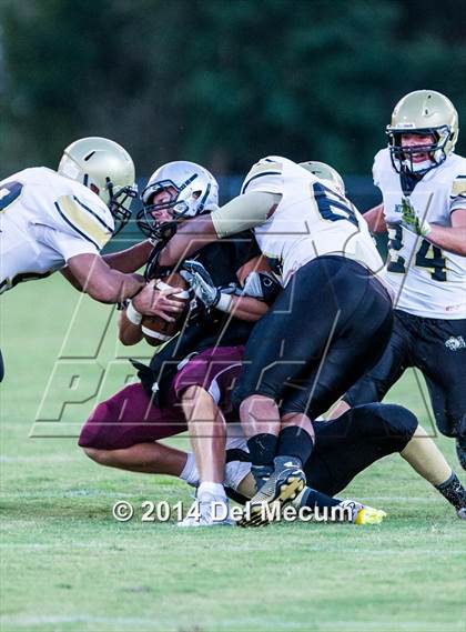 Thumbnail 2 in Mitchell @ Wiregrass Ranch photogallery.