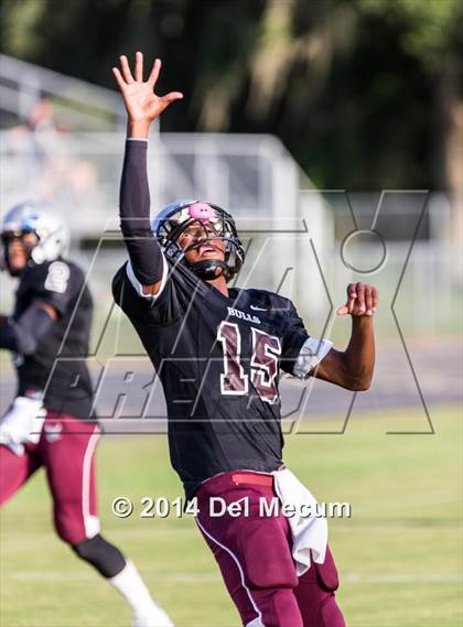 Thumbnail 3 in Mitchell @ Wiregrass Ranch photogallery.