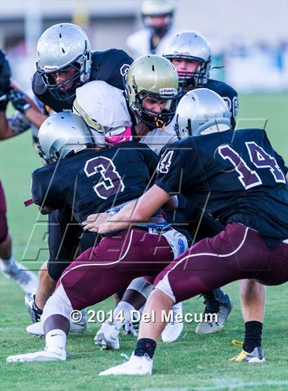 Thumbnail 2 in Mitchell @ Wiregrass Ranch photogallery.
