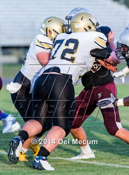 Thumbnail 1 in Mitchell @ Wiregrass Ranch photogallery.