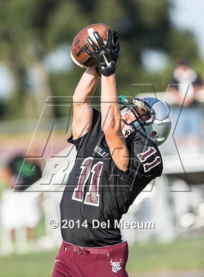 Thumbnail 3 in Mitchell @ Wiregrass Ranch photogallery.