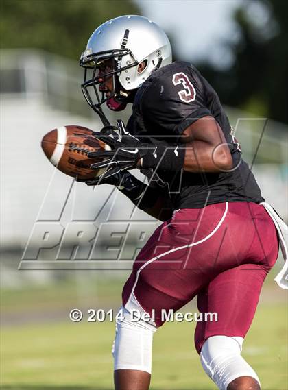 Thumbnail 3 in Mitchell @ Wiregrass Ranch photogallery.