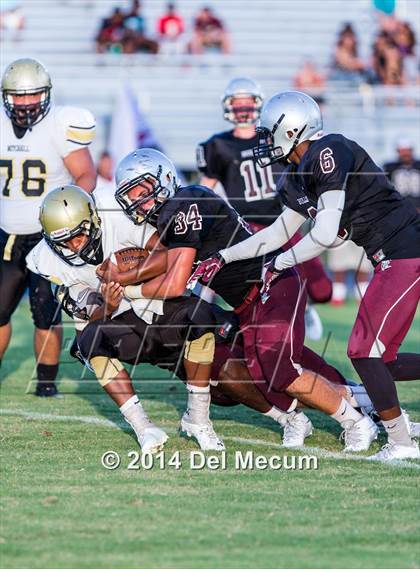 Thumbnail 1 in Mitchell @ Wiregrass Ranch photogallery.