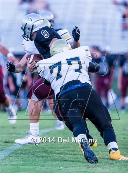 Thumbnail 1 in Mitchell @ Wiregrass Ranch photogallery.